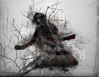 Avatar de l’utilisateur